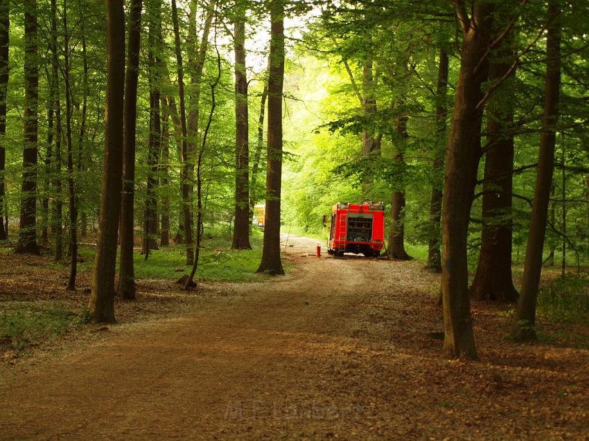 Waldbrand Bergisch Gladbach Bensberg P106.JPG